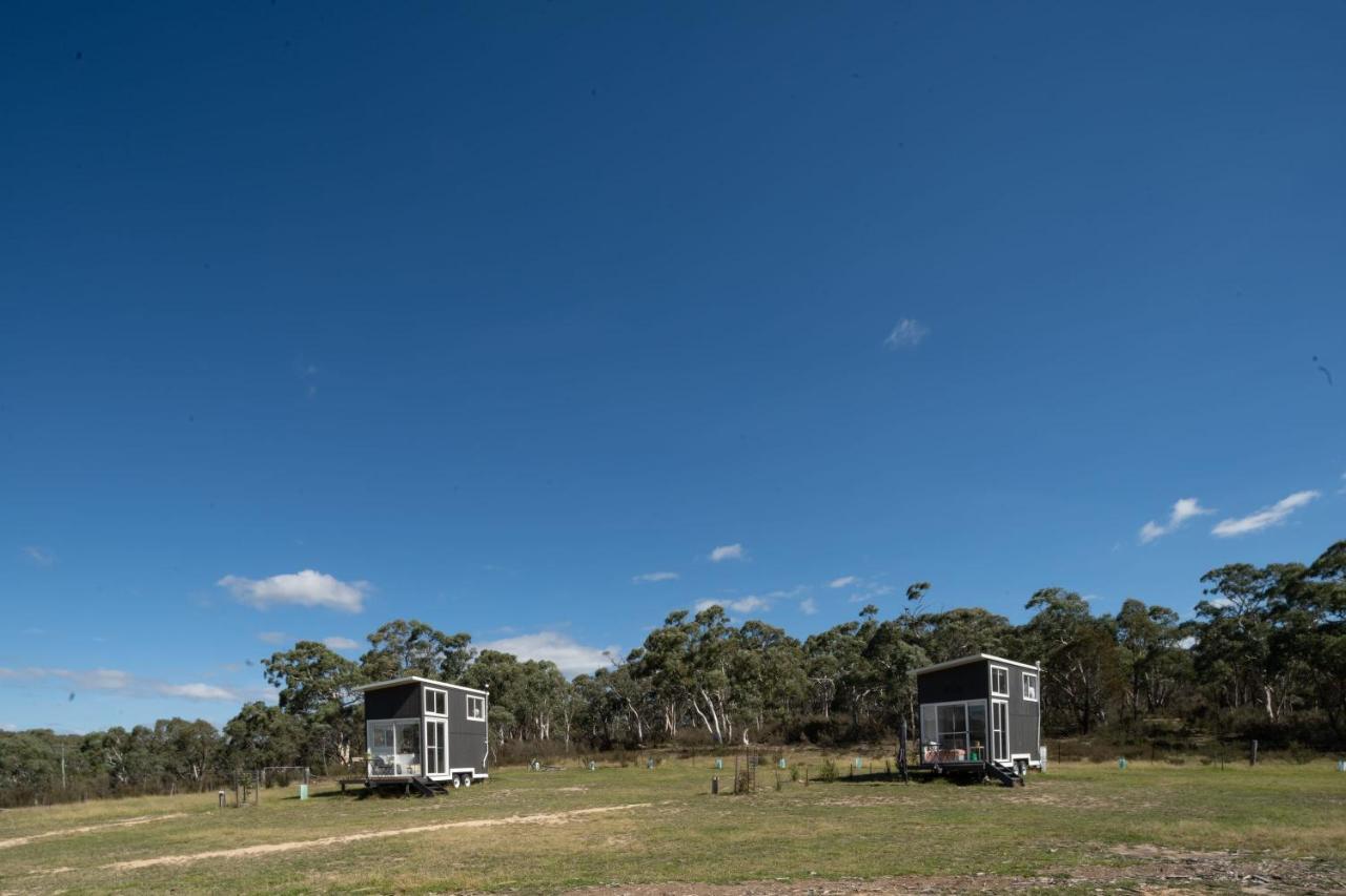 Saddle Camp Tiny House By Tiny Away Villa Braidwood Exteriör bild